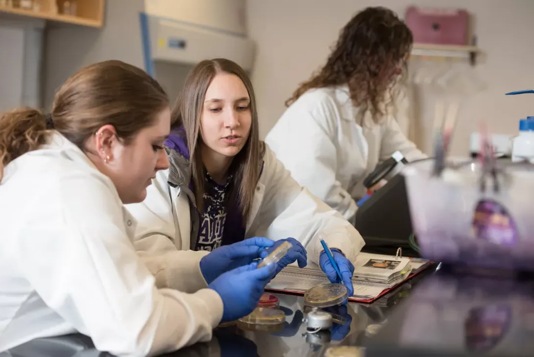 Students in nursing microbiology lab